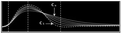 Rôle du muscle squelettique strié dans la conversion de l’énergie